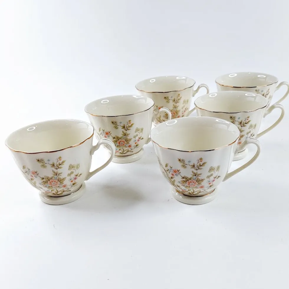 Budlet Fine China kahviastiasto 22 osainen