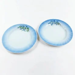 Christineholm Porcelaine Nr4 ja Nr5 pullalautanen 19 cm 2 kpl
