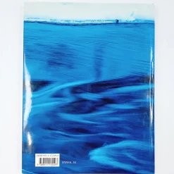 Hannu Hautala: Wild Water