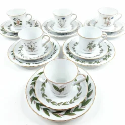Hutschenreuther Flora Nordic kahvikuppisetti 18 osaa