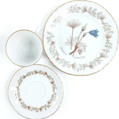 Hutschenreuther Flora Nordic kahvikuppisetti 18 osaa