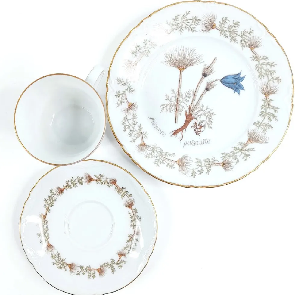 Hutschenreuther Flora Nordic kahvikuppisetti 18 osaa