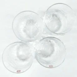 Iittala Koivu snapsilasi 4 kpl