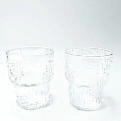 Iittala Paadar snapsilasi 2 kpl