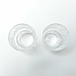 Iittala Paadar snapsilasi 2 kpl