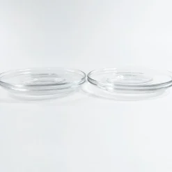 Iittala Paula lasialuslautanen 4 kpl