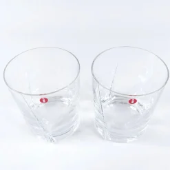 Iittala Viva juomalasi 2 kpl