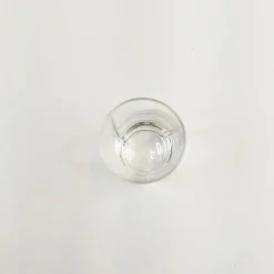 Iittala Viva snapsilasi