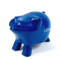 Leonia säästöpossu