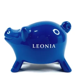 Leonia säästöpossu