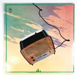 Sleepy Sleepers: Metsäratio LP