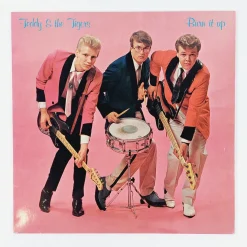 Teddy & the Tigers -Burn it up LP