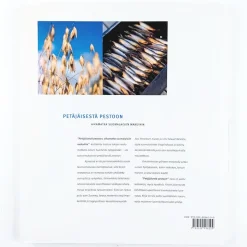 Tero Kallio: Petäjäisestä pestoon