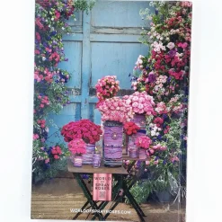 The world of sprayroses book 1: The sprayrose alliance